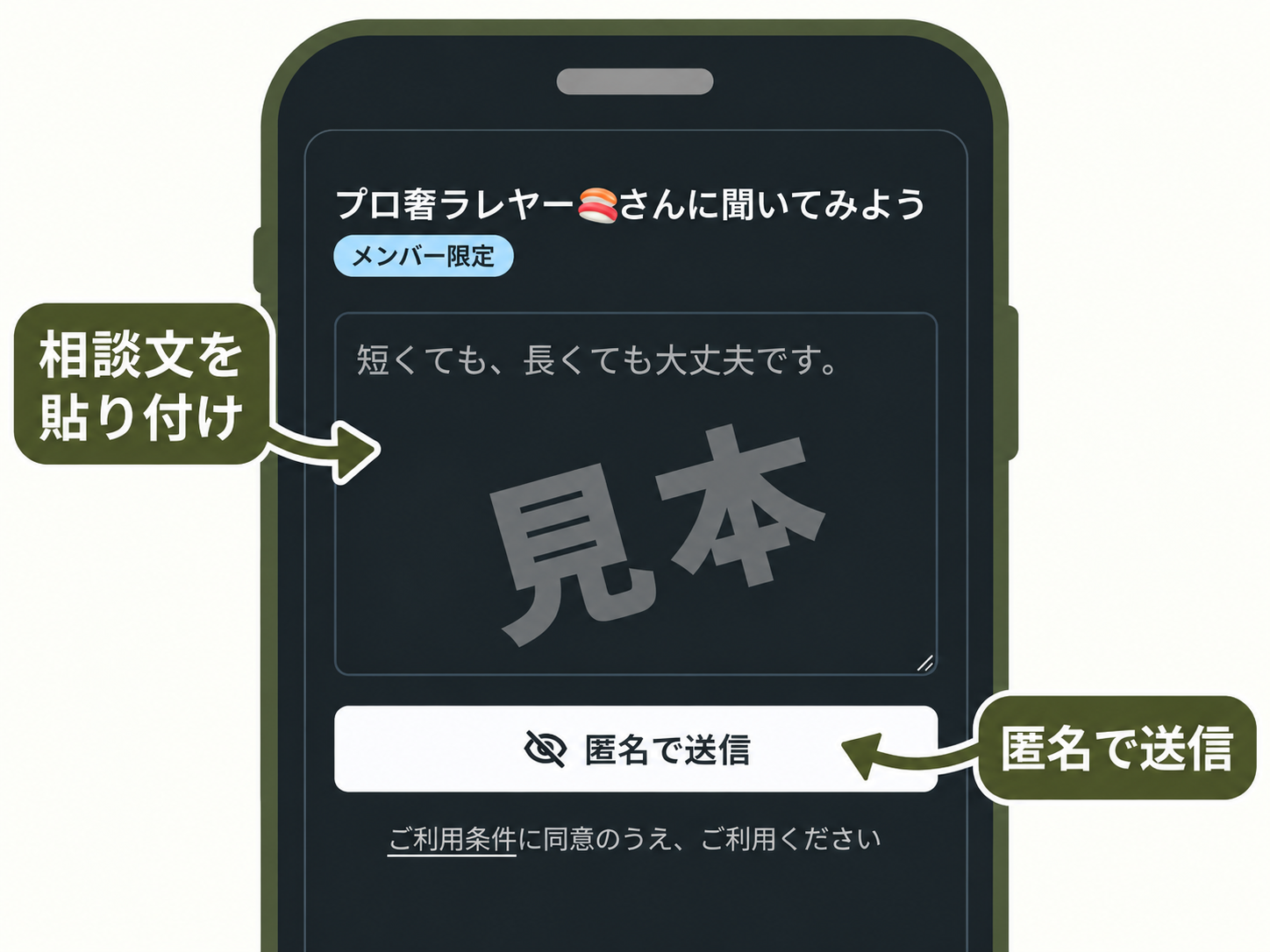 操作見本。開いた質問箱に相談文を貼り付け、匿名で送信します。